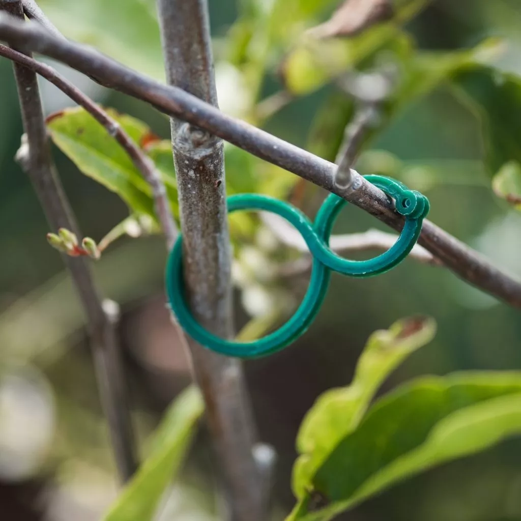 Twisty Plant Rings 30pk - Image 2
