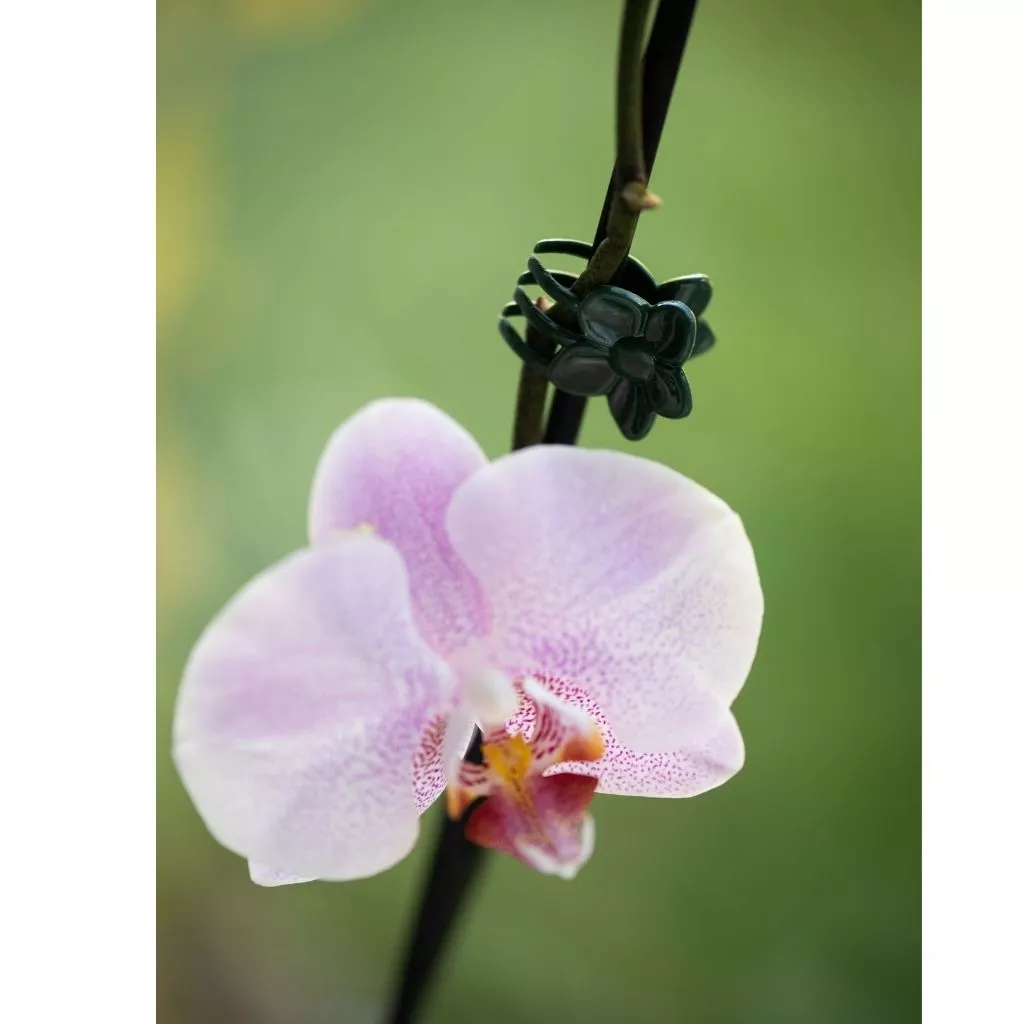 Gardman Plant & Flower Clips 10pk - Image 2