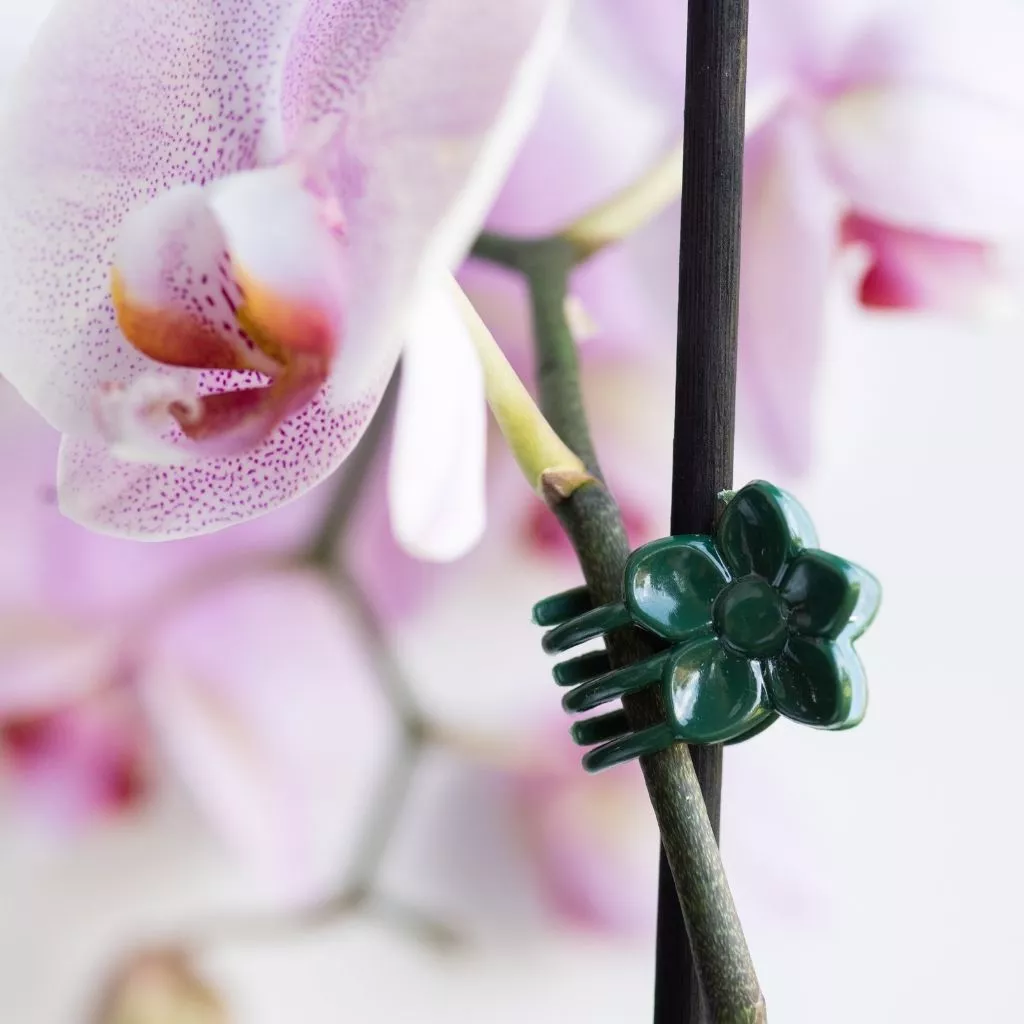 Gardman Plant & Flower Clips 10pk - Image 3