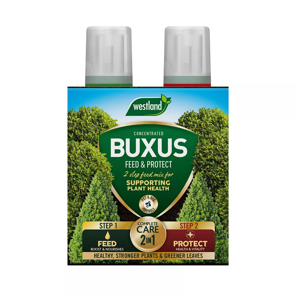 Westland Buxus 2 in 1 Feed and Protect 2 x 500ml - Image 2