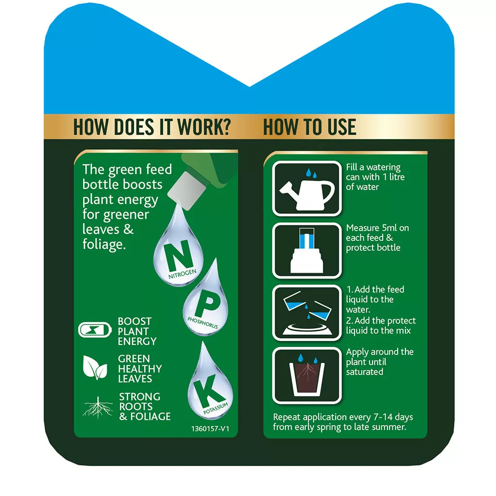 Westland Buxus 2 in 1 Feed and Protect 2 x 500ml - Image 7