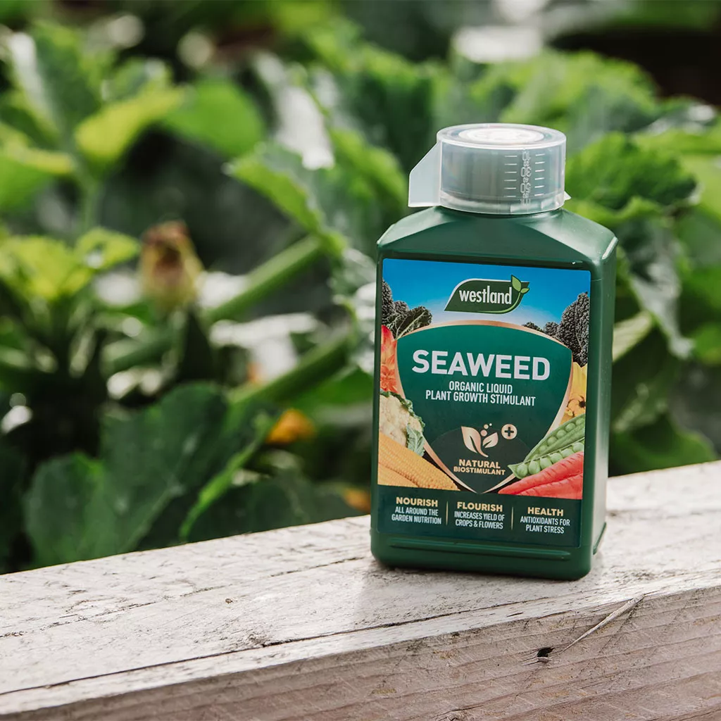 Westland Organic Seaweed Liquid Plant Growth Stimulant 1L - Image 3