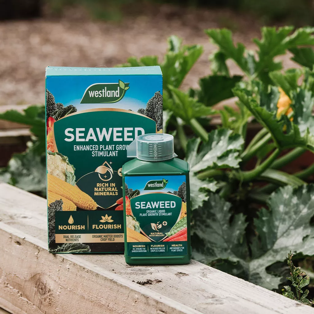 Westland Organic Seaweed Liquid Plant Growth Stimulant 1L - Image 4