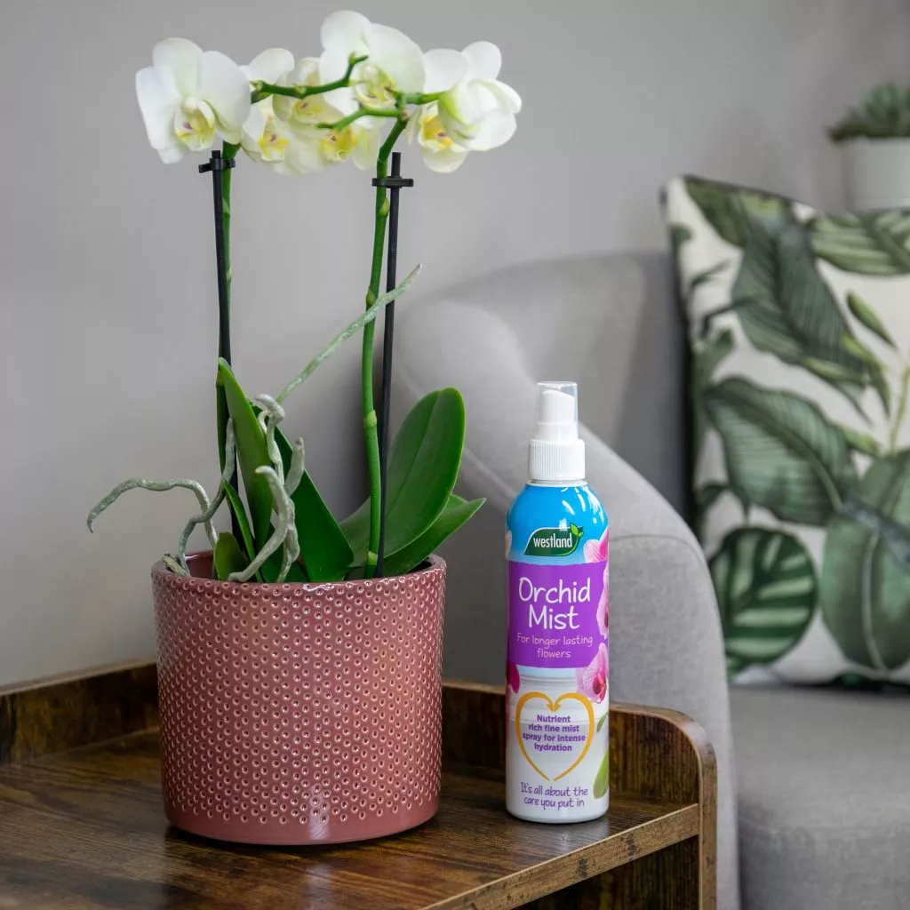 Westland Orchid Mist 250ml - Image 3