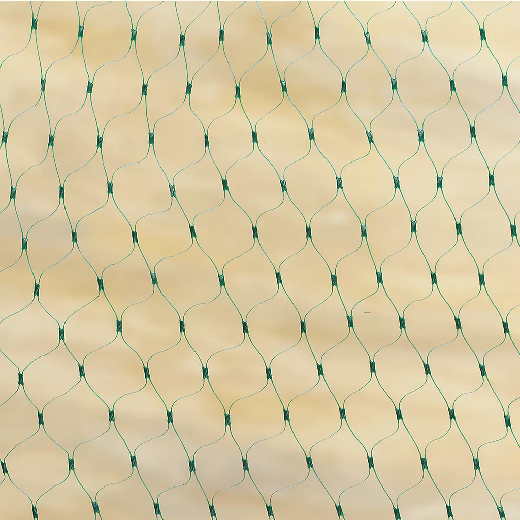 Grow It Protective Fruit & Crop Netting 10x4m - Image 2