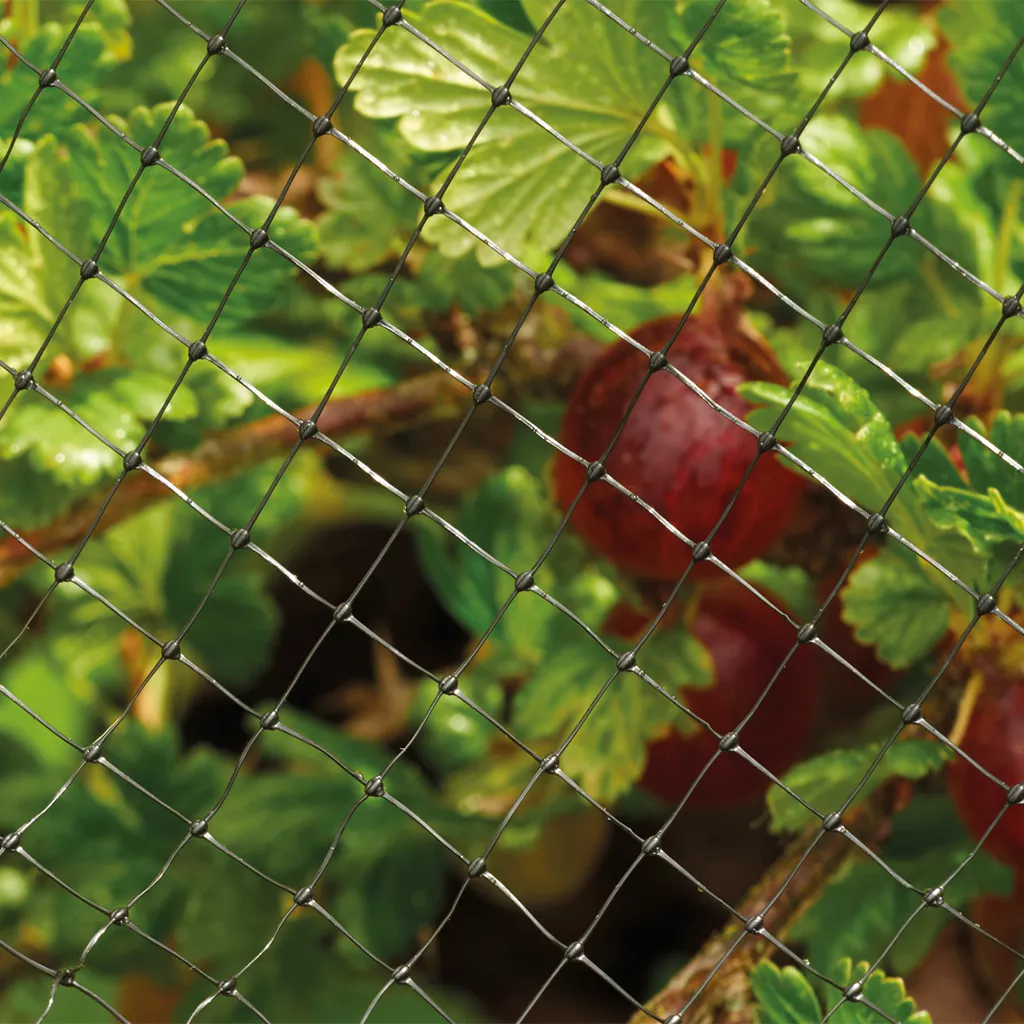 Grow It Crop & Pond Netting 4x2m