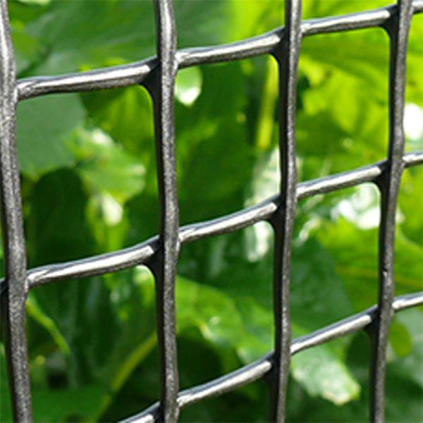 Gardman Garden & Plant Mesh 5x1m 50mm Green - Image 2