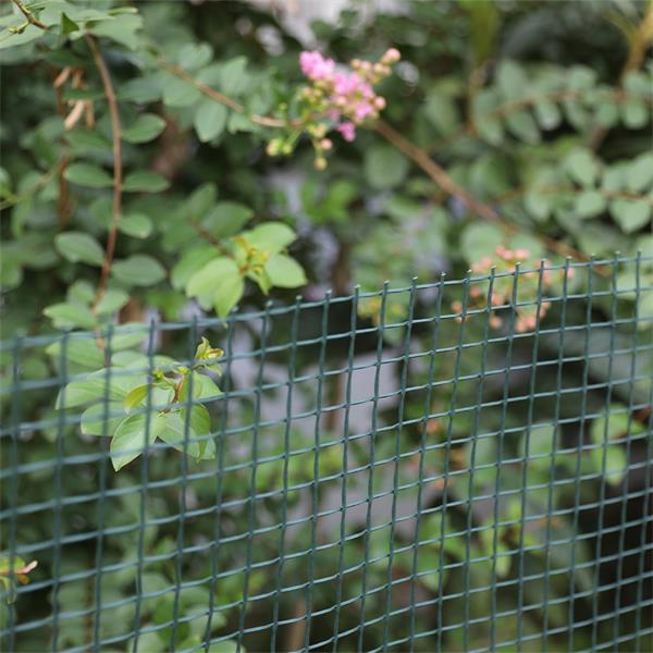 Gardman Garden & Plant Mesh 5x1m 50mm Green - Image 3
