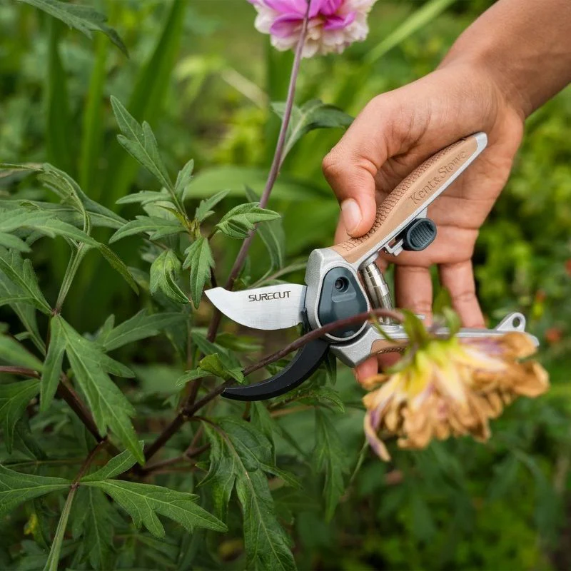 Kent & Stowe Garden Life All Purpose Mini Bypass Secateurs (Cutting dia. 15mm) - Image 2