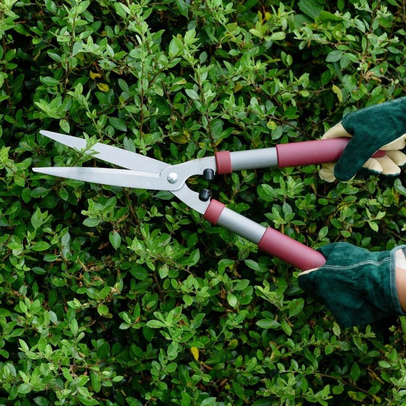 Kent & Stowe Garden Life Hedge Shears - Image 2