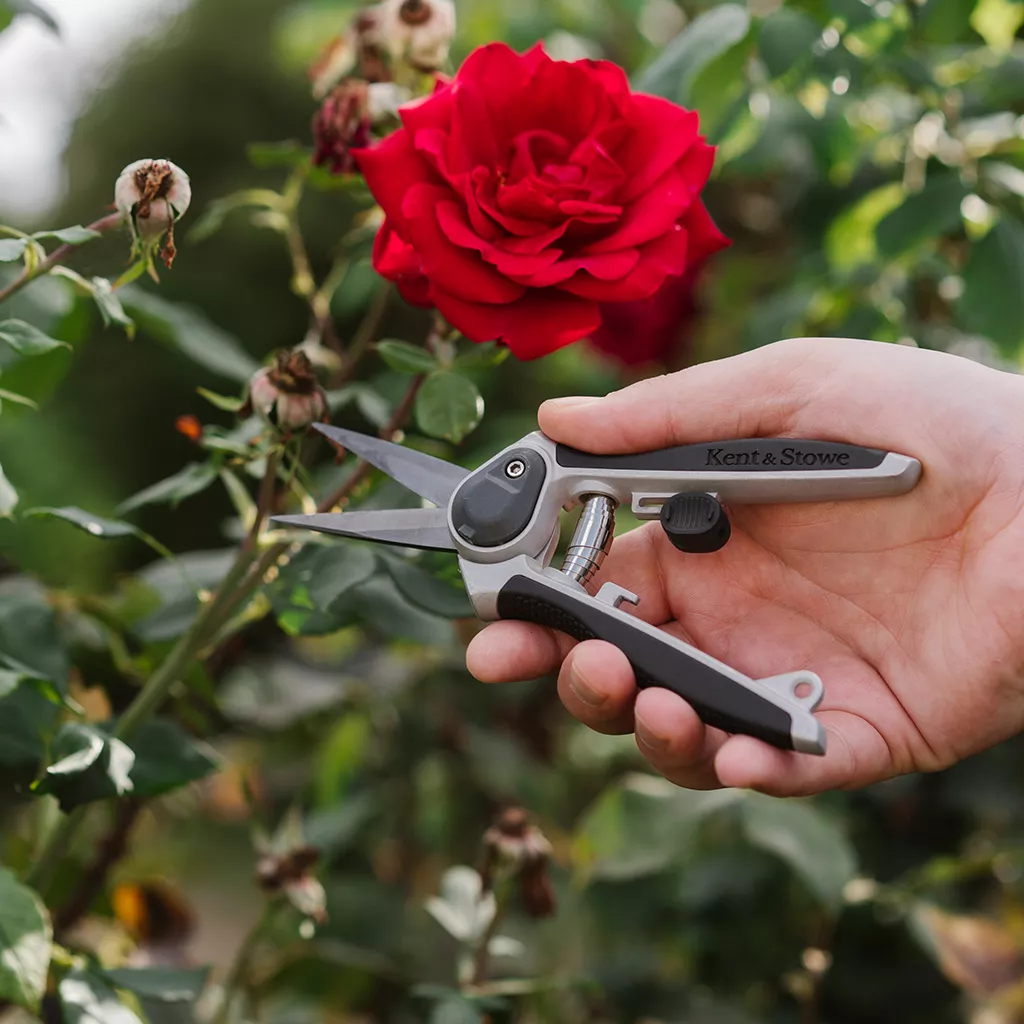 Kent & Stowe Eversharp Garden Snips - Image 5