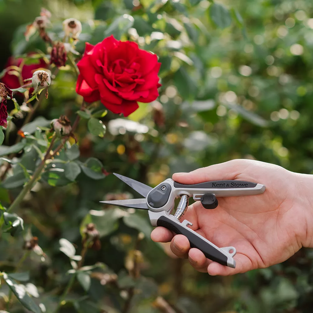 Kent & Stowe Eversharp Garden Snips - Image 6