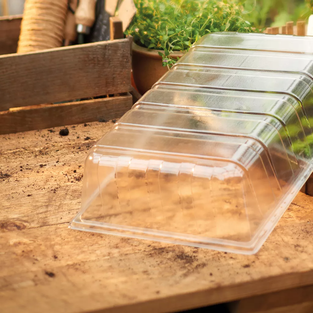 Westland Standard Seed Tray Lid - Image 2