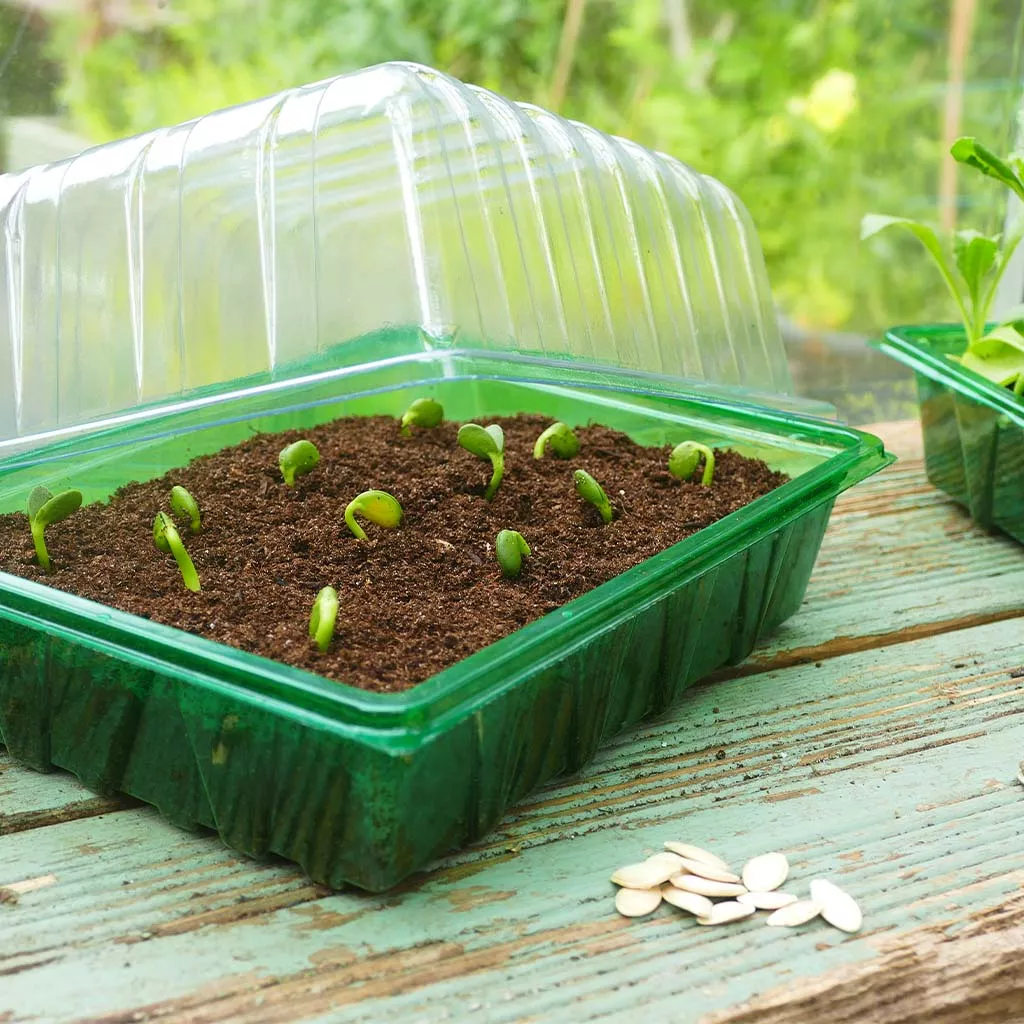 Gro-Sure Visiroot Half Seed Tray Lid 23 x 17.5cm - Image 2