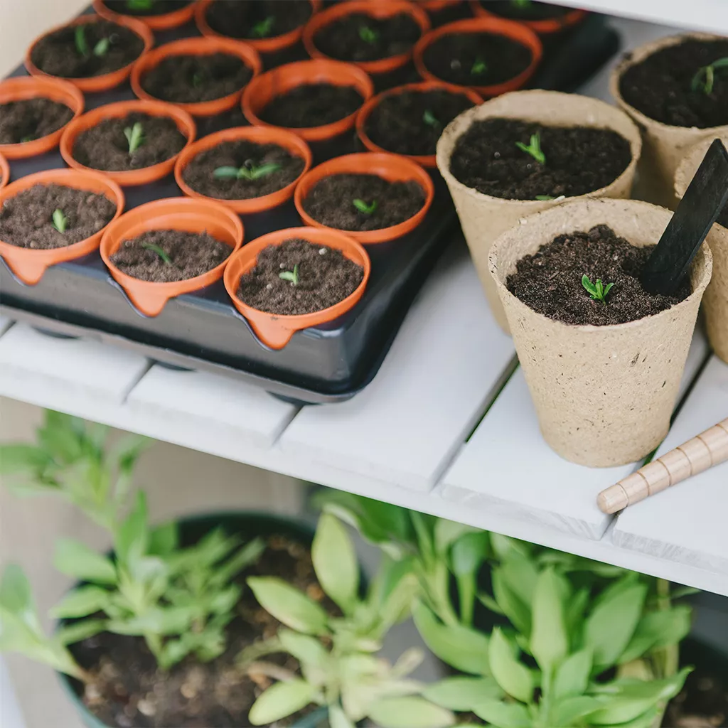 Gro-Sure Growing Tray with 40 Pots - Image 3