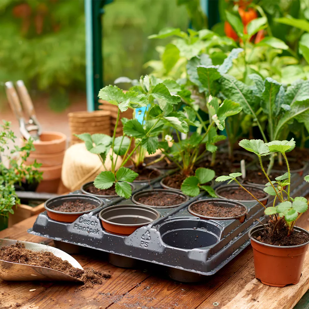 Gro-Sure Growing Tray with 18 Round Pots - Image 2