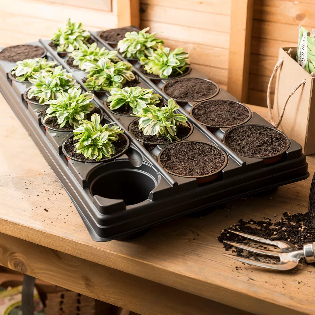 Gro-Sure Growing Tray with 18 Round Pots - Image 4