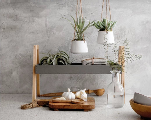 Hanging Succulent Plant In Pot  - Assorted - Image 2