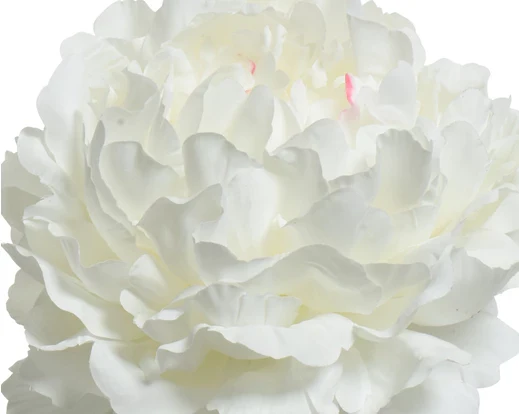 Faux Peony On Stem - Cream (72x34cm) - Image 2