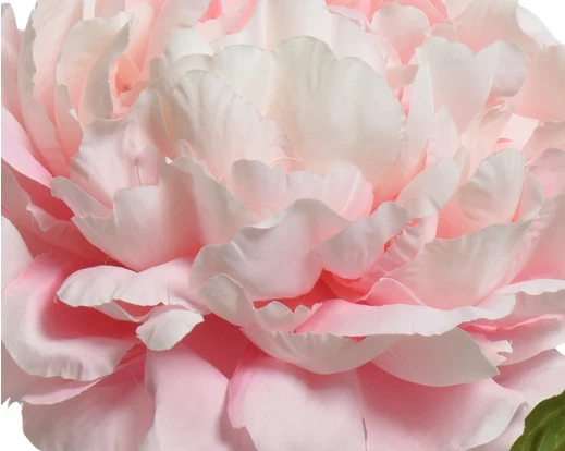 Faux Peony On Stem - Soft Pink (72x34cm) - Image 2