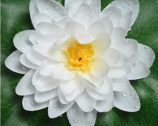 Artificial Lotus Flower with Water Drop - Image 3