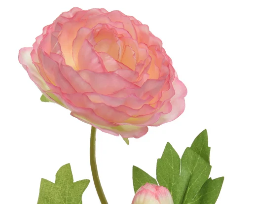 Decorative Ranunculus Flower On Steam - Soft Pink - Image 2