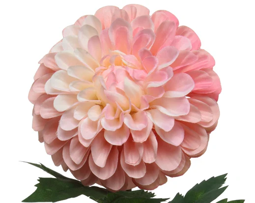 Artificial Dahlia On Stem - Pink (75x10cm) - Image 2