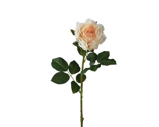 Artificial Rose On Stem - Peach (71cm)