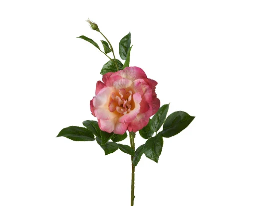 Artificial Rose On Stem - Peach (65cm)