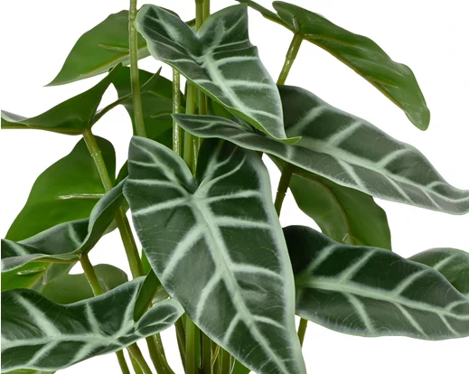 Faux Scindapsus or Tardo Plant In Pot (32cm) - Image 3