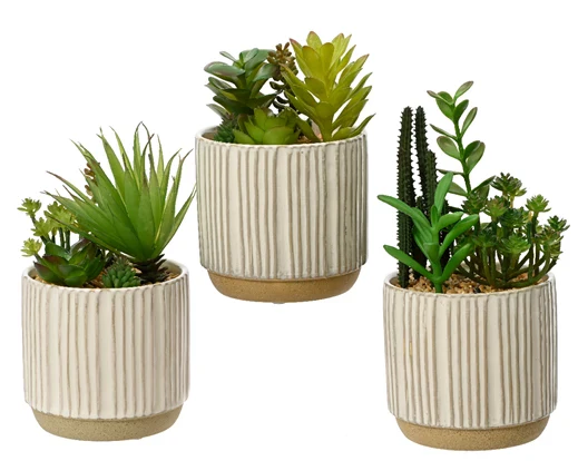 Faux Succulent Plant (20x12.5cm)