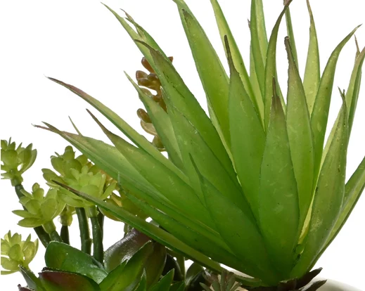 Faux Succulent Plant (20x12.5cm) - Image 2
