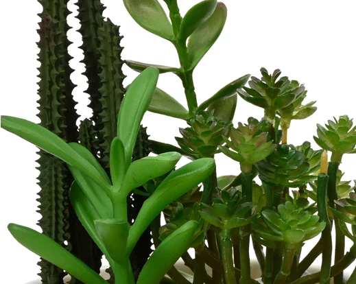 Faux Succulent Plant (20x12.5cm) - Image 4
