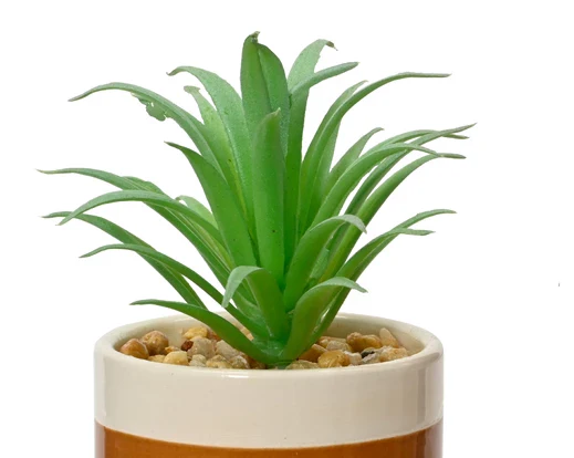 Artificial Succulent In Ceramic Pot (12x6cm) - Image 2