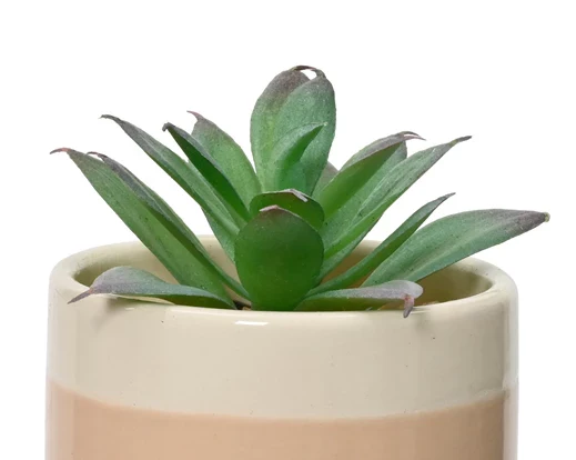 Artificial Succulent In Ceramic Pot (12x6cm) - Image 4