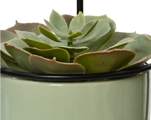 Faux Succulent In Pot (17.5x9.5cm) - Image 2