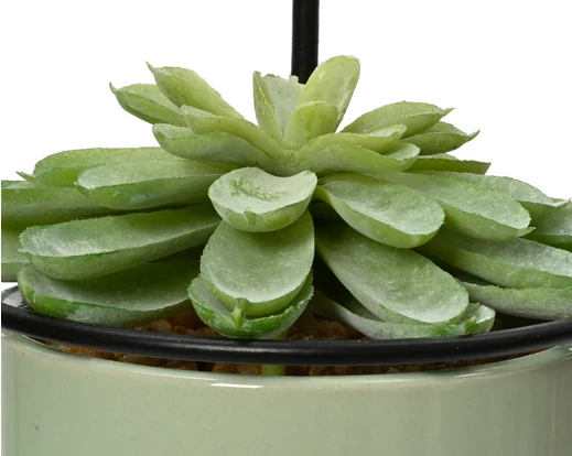 Faux Succulent In Pot (17.5x9.5cm) - Image 3