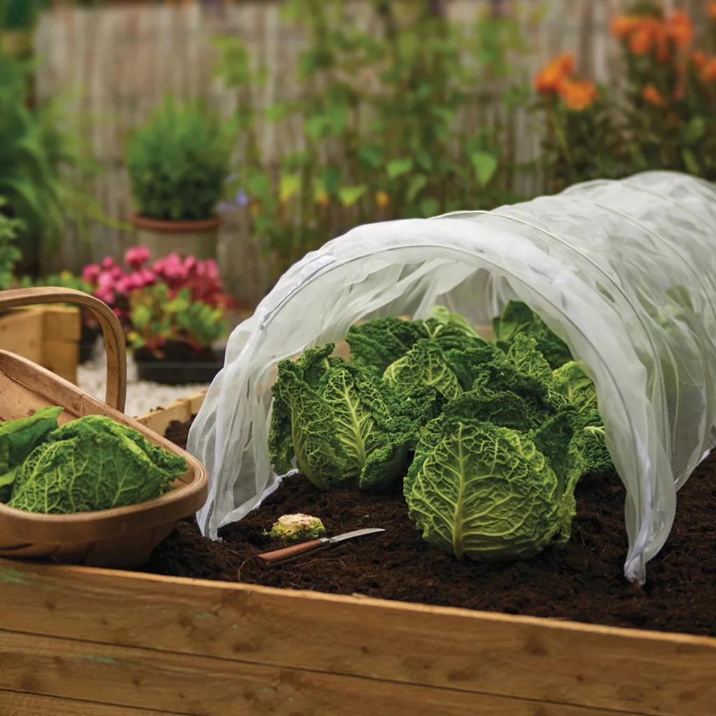 Grow It Mesh Grow Tunnel