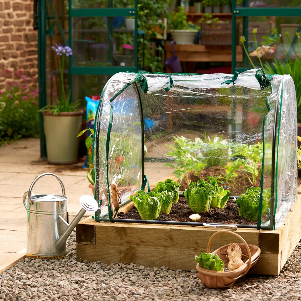 Grow It Medium Seedling Cloche 90x92x72cm