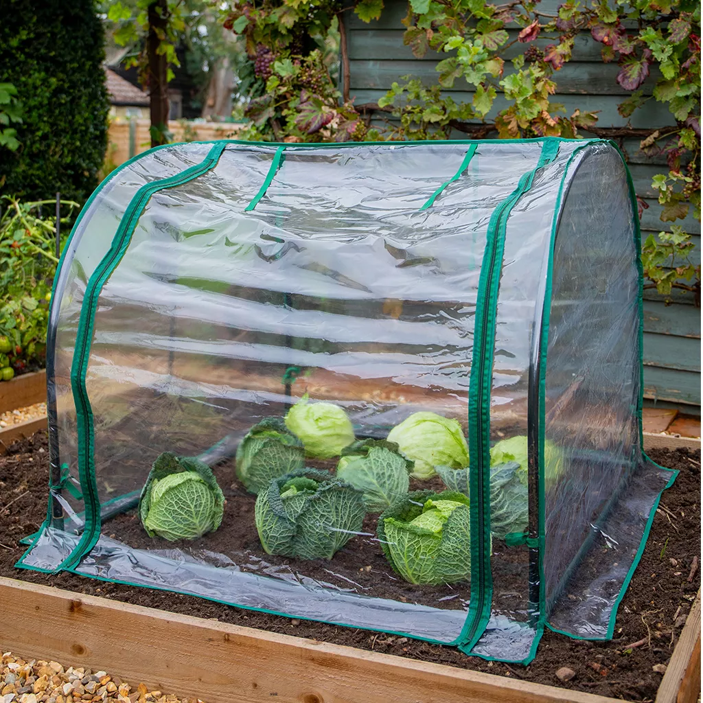Grow It Medium Seedling Cloche 90x92x72cm - Image 2