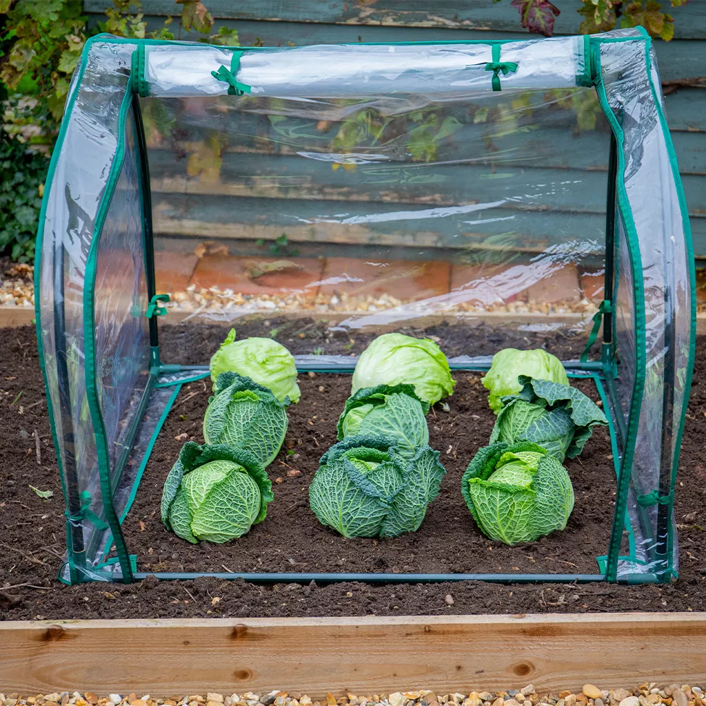 Grow It Medium Seedling Cloche 90x92x72cm - Image 3