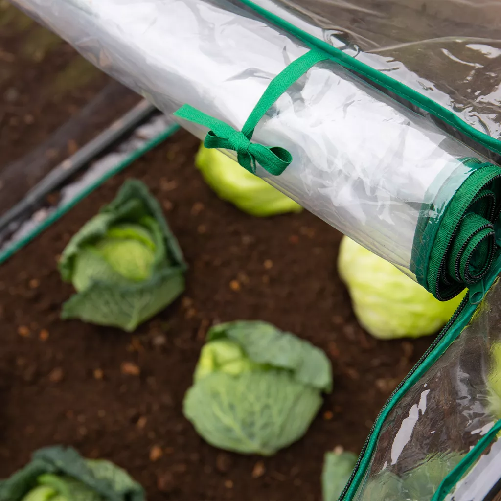 Grow It Medium Seedling Cloche 90x92x72cm - Image 4