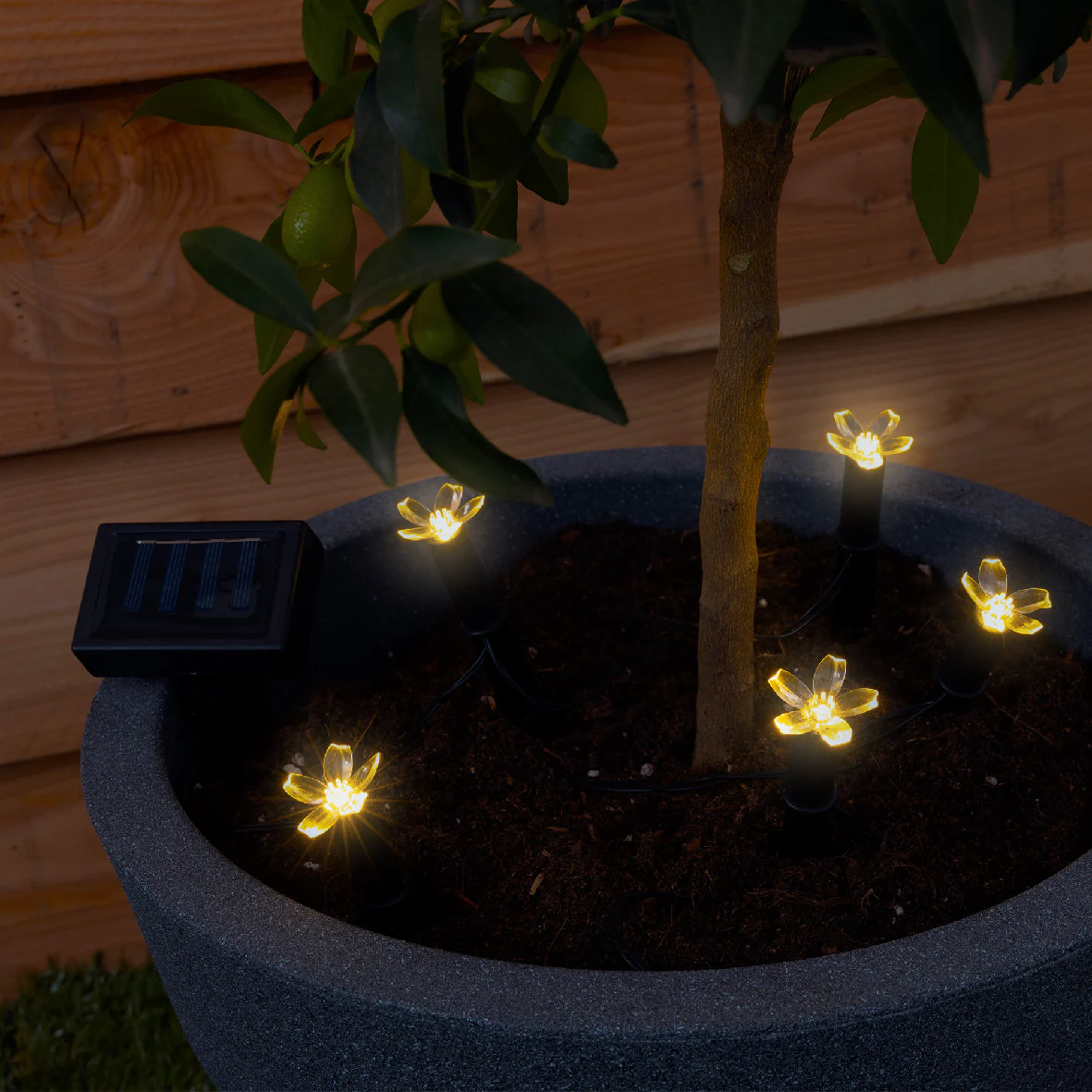 Lumino - Solar Stake with butterflies/bees - Image 7