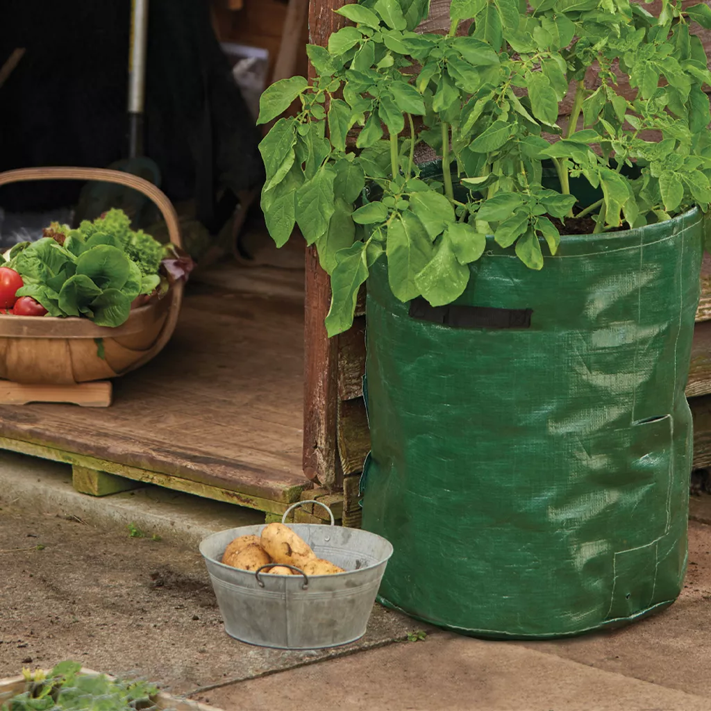Grow It Potato Planter Bag 2pk