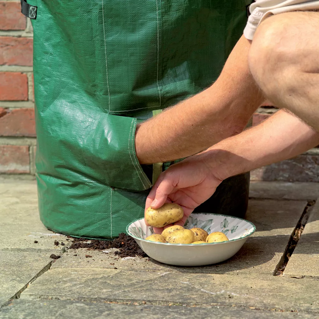 Grow It Potato Planter Bag 2pk - Image 2
