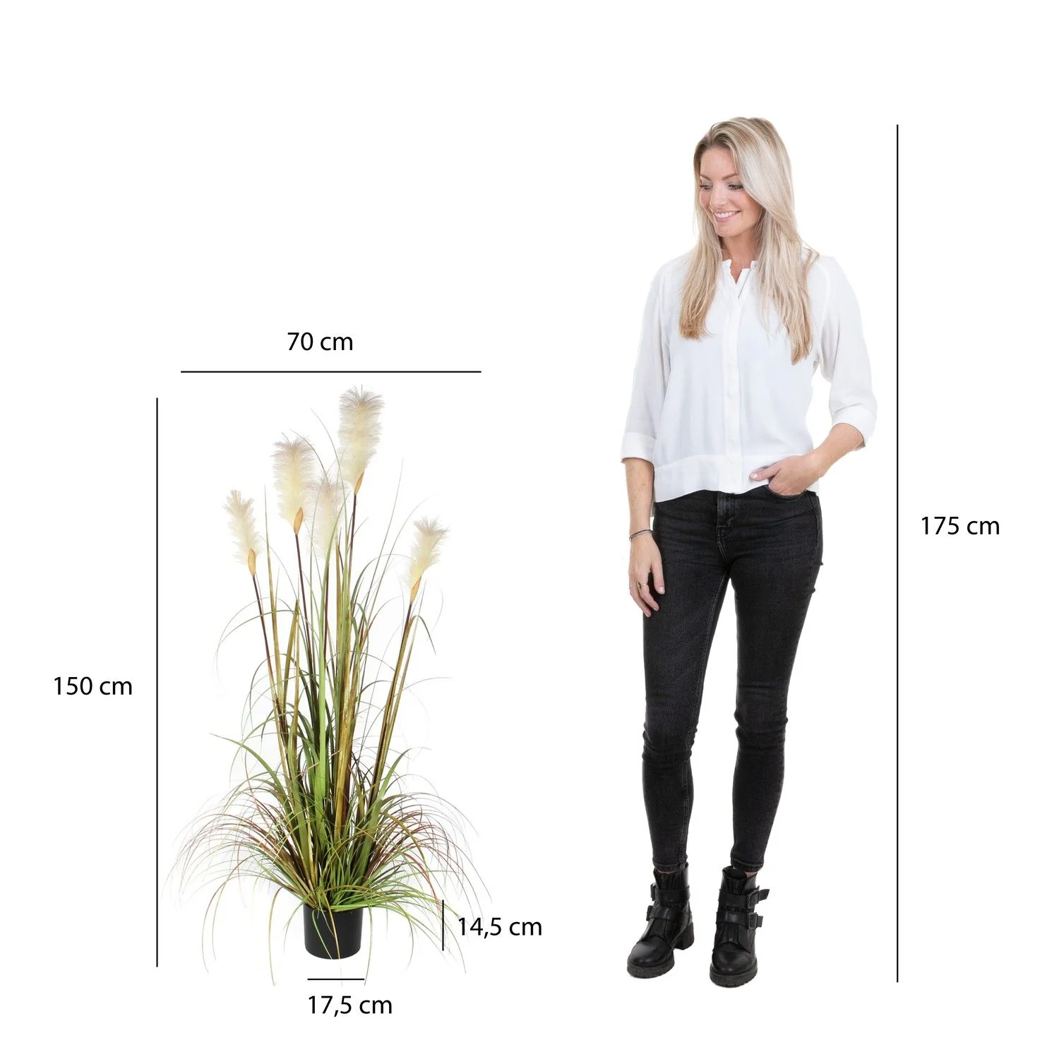 Artificial Plume Grass Foxtail White Pot (H150x70cm) - Image 4