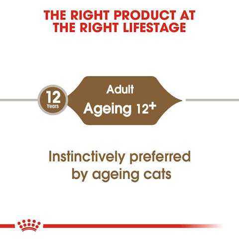 Royal Canin Ageing 12+ Jelly Senior Cat Food (Joint & Kidney) - 85g - Image 4