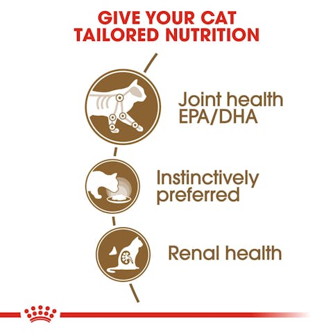Royal Canin Ageing 12+ Jelly Senior Cat Food (Joint & Kidney) - 85g - Image 5