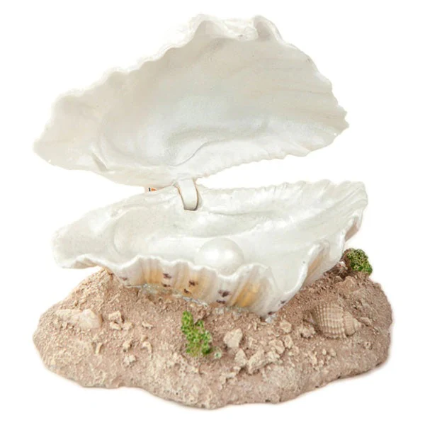 Air Action Clam Medium (12cm x 8cm)
