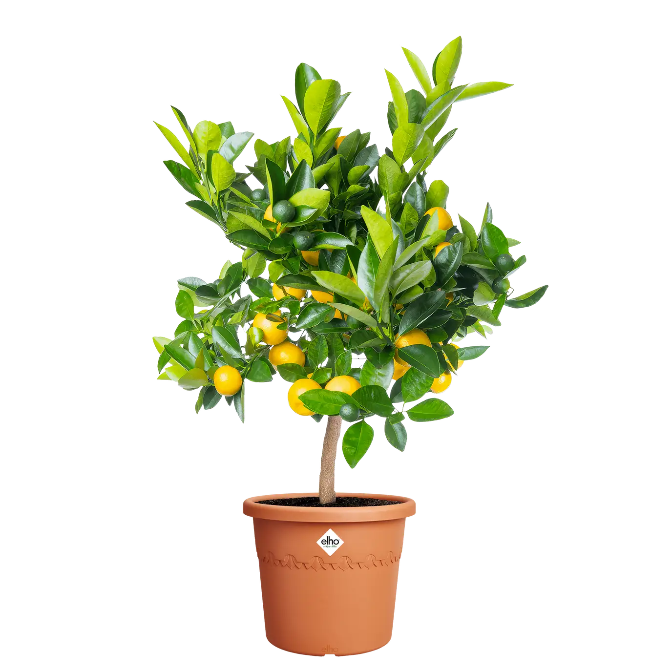 Algarve Cilindro 30cm Terracotta - Image 3